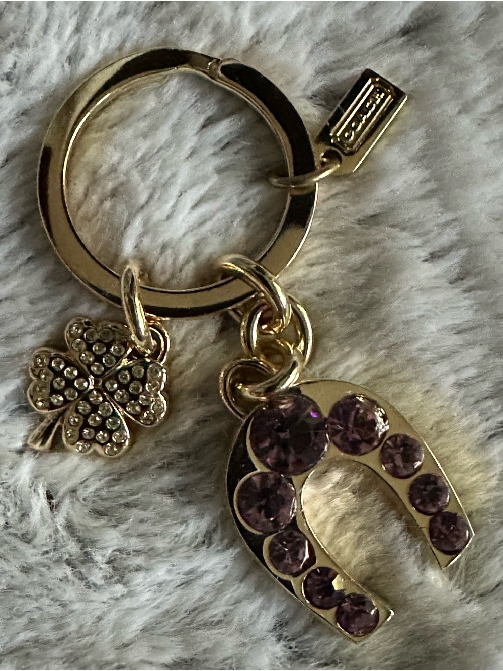 Coach Lucky Keychain - Picture 3 of 9